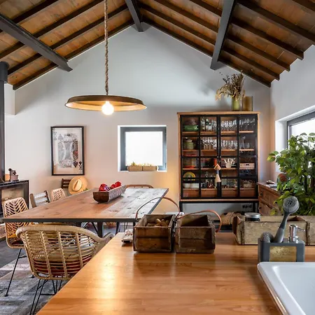 Feel Discovery P&p House Douro Valley Villa Resende