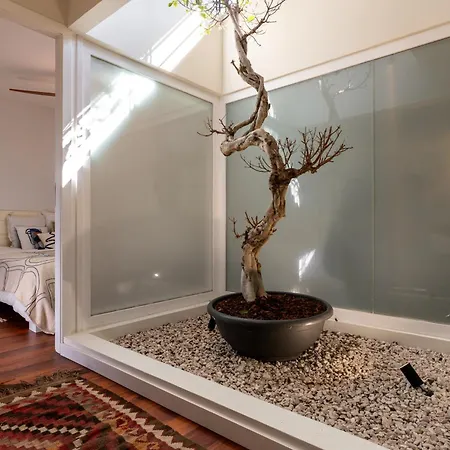 Feel Discovery P&p House Douro Valley