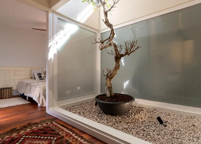 Feel Discovery P&p House Douro Valley